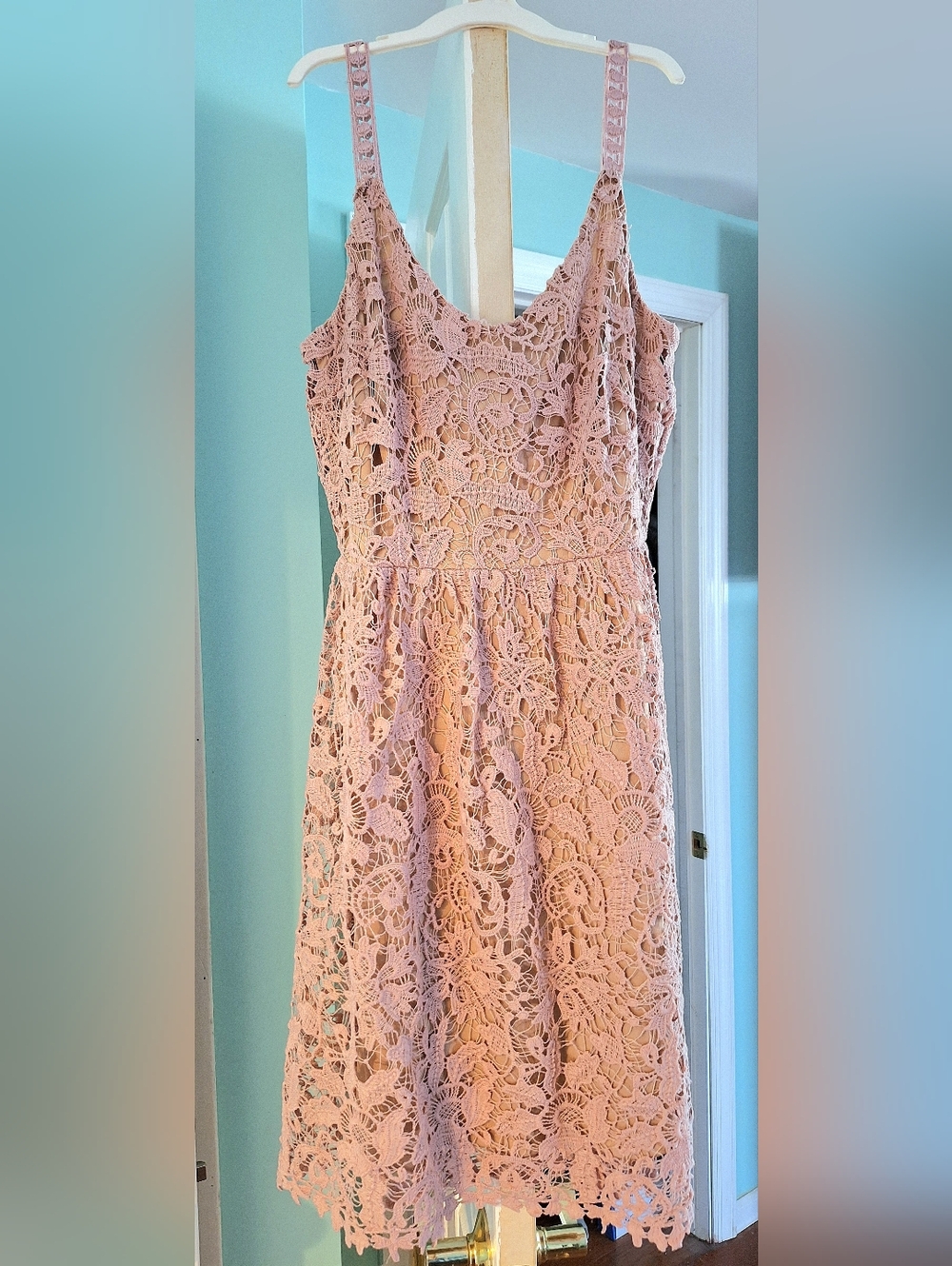 Lace Fit & Flare Sleeveless Dress - Blush Pink